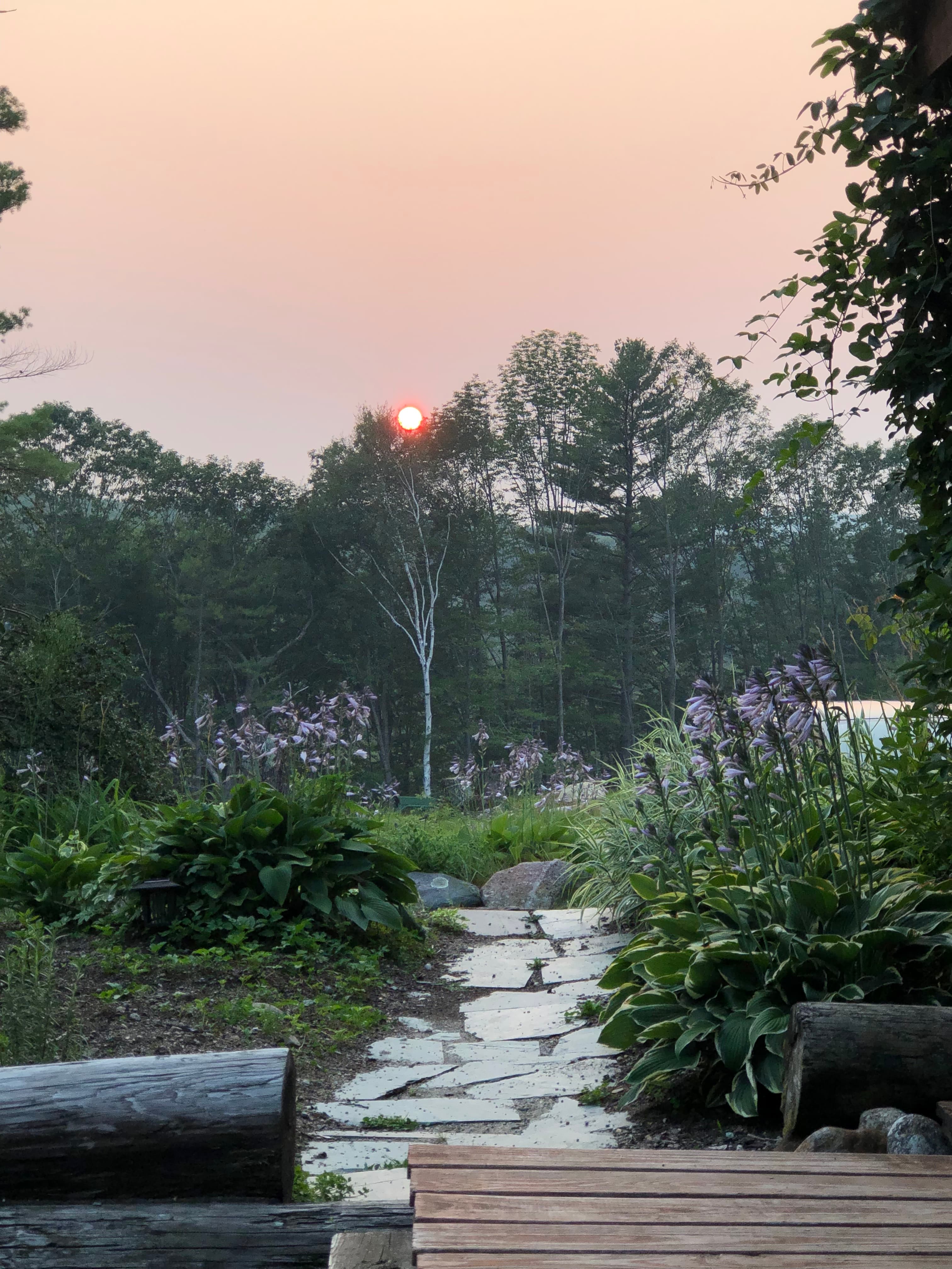Garden path at dusk at Xuanju